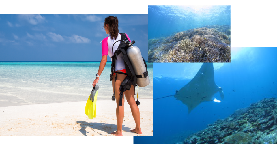 Cカードをお持ちのお客様